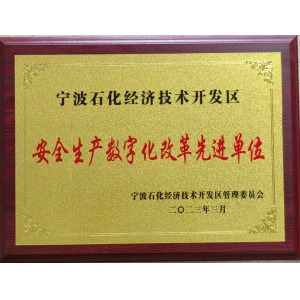 安全生產(chǎn)數字化改革先進(jìn)單位